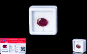 Natural Ruby Loose Gemstone With GGL Certificate/Report Stating The Ruby To Be 6.43cts Oval Cut, 11.