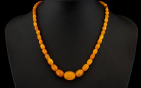 An Antique Butterscotch Amber Bead Neckl