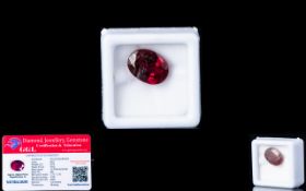 Natural Ruby Loose Gemstone With GGL Certificate/Report Stating The Ruby To Be 8.05cts Oval Cut,