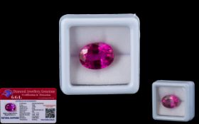 Pink Sapphire Loose Gemstone With GGL Certificate/Report Stating The Sapphire To Be 10.