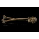 A Victorian Novelty Nutcracker In The Form Of A Skull And Bones. Cast Bronze. Pat No 740410.