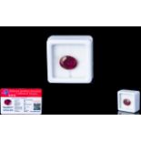 Natural Ruby Loose Gemstone With GGL Certificate/Report Stating The Ruby To Be 6.43cts Oval Cut,