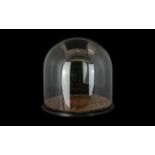 Antique Glazed Display Dome - Taxidermy Cloche Of traditional form and large proportion with