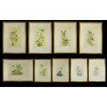 Royal Worcester A Set Of Nine Limited Edition Bird Prints Each By Worcester Artists Each numbered