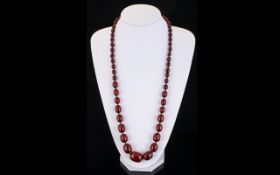 Antique Period Large & Impressive Cherry Amber Graduated Necklace with Gold Clasp.