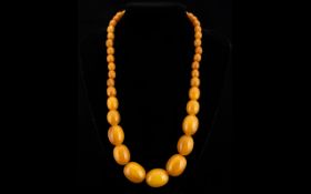 Amber Butterscotch Colour Bead Necklace. Of Graduated Barrel Form. Approx Length 24 Inches.