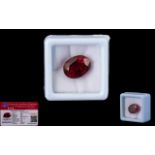 Natural Ruby Loose Gemstone With GGL Certificate/Report Stating The Ruby To Be 10.