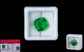 Natural Emerald Loose Gemstone Complete