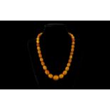 An Early 20th Century Attractive Butterscotch Amber Beaded Necklace of Graduated Form,
