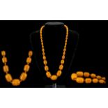 Early 20th Century Excellent Butterscotch Amber Graduated Beaded Necklace of Barrel Form,