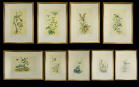 Royal Worcester A Set Of Nine Limited Edition Bird Prints Each By Worcester Artists Each numbered