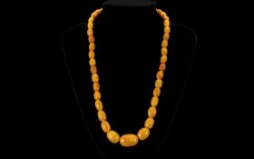 A Superb Butterscotch Graduated Amber Bead Necklace from the 1920's,