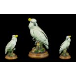 Vintage Cockatoo Figure raised on a wooden base,