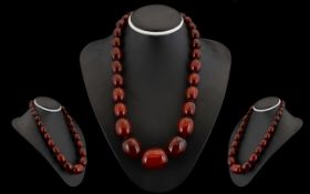 A Nice Quality 1920's - Cherry Red Graduated Amber Beaded Necklace with Gold Clasp,