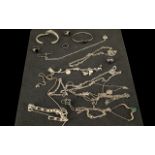 A Good Varied Collection of Silver Jewellery.
