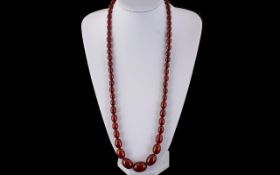 A 1920's - Attractive Cherry Amber Long Graduated Beaded Necklace with Gold Tone Clasp.