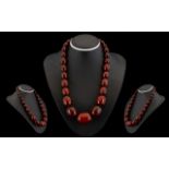A Nice Quality 1920's - Cherry Red Graduated Amber Beaded Necklace with Gold Clasp,