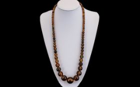 A 1920's - Attractive Cherry Amber Long Graduated Beaded Necklace with silver Tone Clasp.