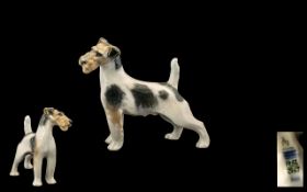 Royal Copenhagen Early Porcelain Dog Figure ' Wire - Haired Fox Terrier ' Model No 2967. Designed by