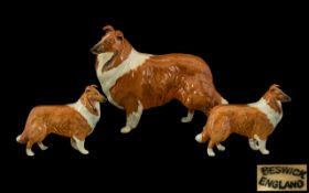 Beswick Dog Figures (3) 'Collies' Lochinvar of Lady Park' Large model no 1791. Designer A Gredington