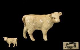 Beswick Farm Animal Figure 'Charolais Calf' Model no 1827B, issued 1985-1997. Designer A