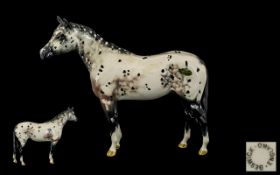 Beswick Horse Figure model no H1772 'Appaloosa Stallion' colourway 2. Designer A Gredington.