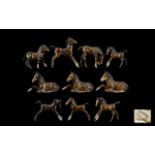 Beswick Foal figures (10) in total. Vari