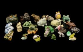 Collection of Ornamental Frogs to include ceramic and pottery frogs, an enamel pin brooch frog,