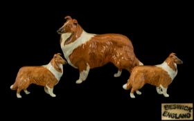 Beswick Dog Figures (3) 'Collies' Lochinvar of Lady Park' Large model no 1791.