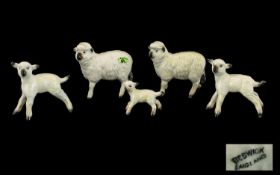 Beswick Farm Animal Figures Sheep Family Set (Five in Total) . 'Sheep and Lamb Figures' model 935-