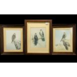 Three Prints of Birds by R David Digby, comprising two of Prairie Falcons,