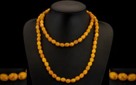 A Fine Quality Early 20thC Butterscotch Amber Beaded Long Necklace of Great Colour - Weight 56.