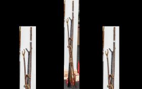 Two Thumb Nordic Walking Pole/Canes, Together With A Large Staff And 2 Canes,