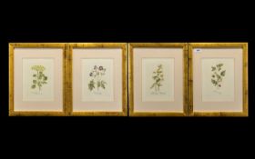 Collection of Four Framed Prints of Rasp