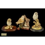 Collection of Border Fine Arts & Teviotdale Ceramic Bird Figures. Comprising a mother owl and