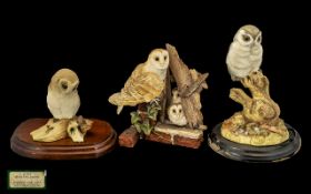 Collection of Border Fine Arts & Teviotdale Ceramic Bird Figures. Comprising a mother owl and