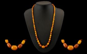 Antique Period - Pleasing Butterscotch Amber Graduated Beaded Necklace. Variations of Colour due