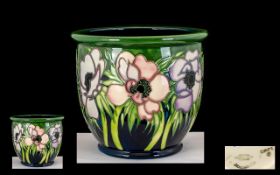 Moorcroft Modern Tube lined Jardiniere ' Green Anemone ' Date 2002. 6.5 Inches - 16.25 cm High & 7.5