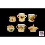 Royal Worcester - Hand Painted Collectio