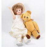 German bisque head doll, wooden jointed limbs, and golden plush teddy bear