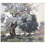 Mable W Cottee, Country landscape, watercolour