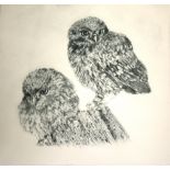 Laura Harvey, Squirrel, and Two owls, etchings with aquatint (2)