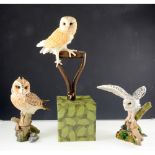A collection of fourteen Country Artists' owls by David Ivey, all boxed