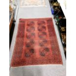 Afghan rug, two rows of five elephant foot guls on a red field, multi-bordered,180 x 136cm.