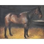 Philip Strawfield (?) Dynamite - horse study