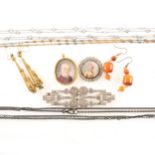 A collection of Victorian and later costume jewellery.