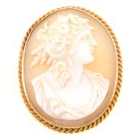 An oval carved shell cameo brooch