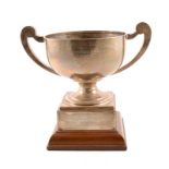 Silver trophy cup,
