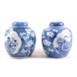 A pair of Chinese blue and white ginger jars and covers.