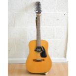 Samick Artist Series Edition 12 string acoustic guitar, with soft case.